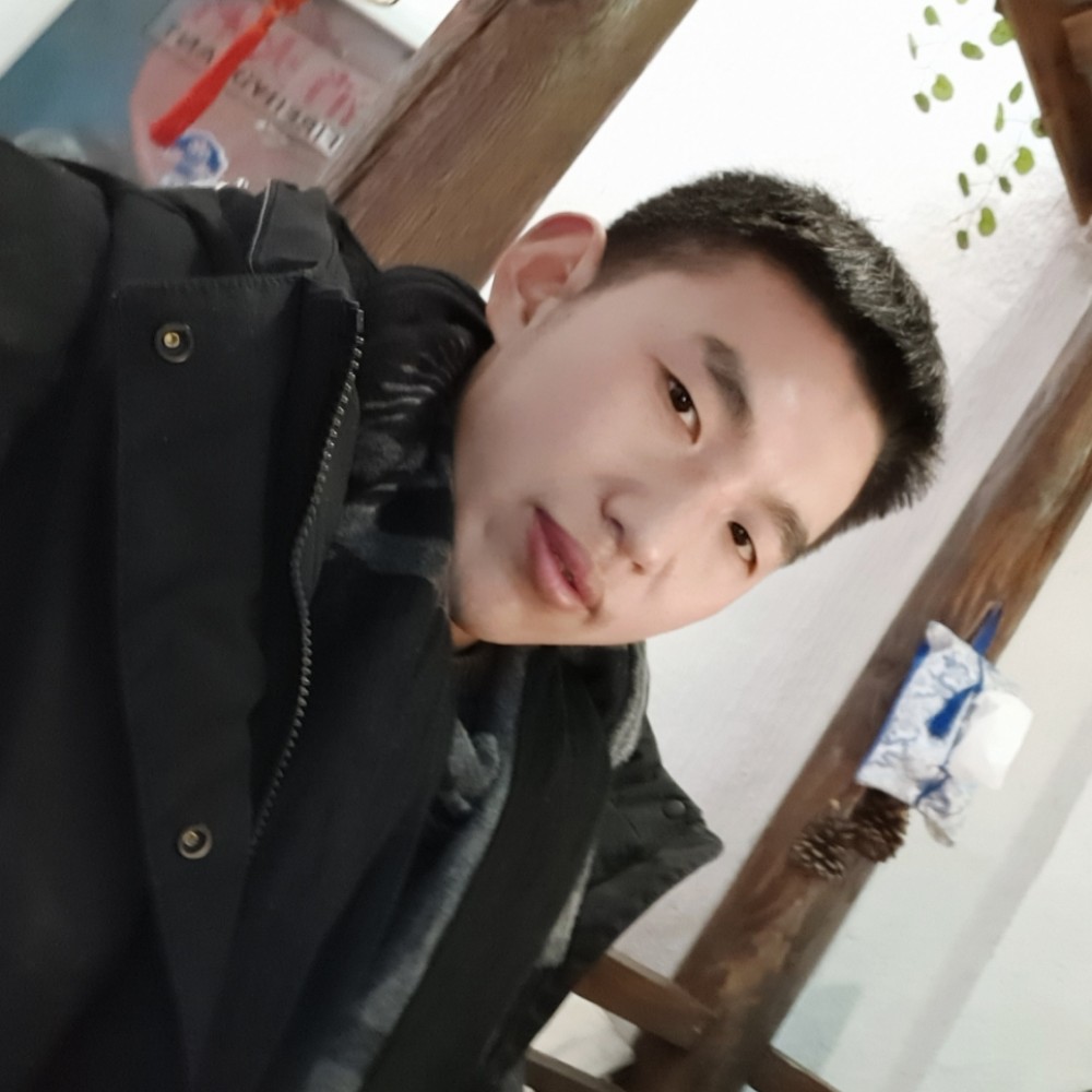 温柔邂逅刺猬的照片
