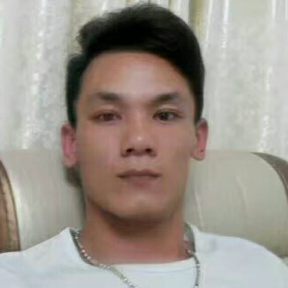 内向长颈鹿的照片