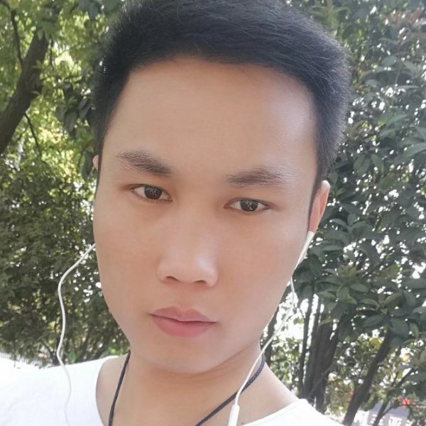 帅气的小猫咪的照片