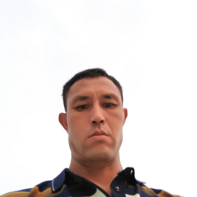 小蘑菇温柔的照片