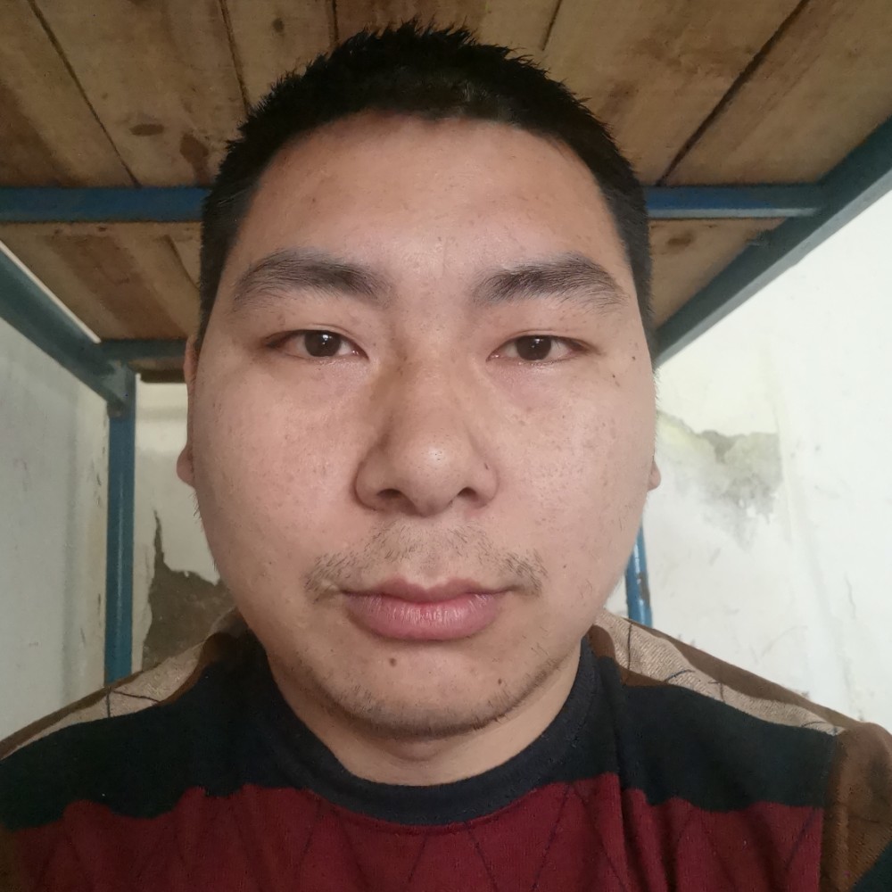 蝼蚁！尚且偷生的照片