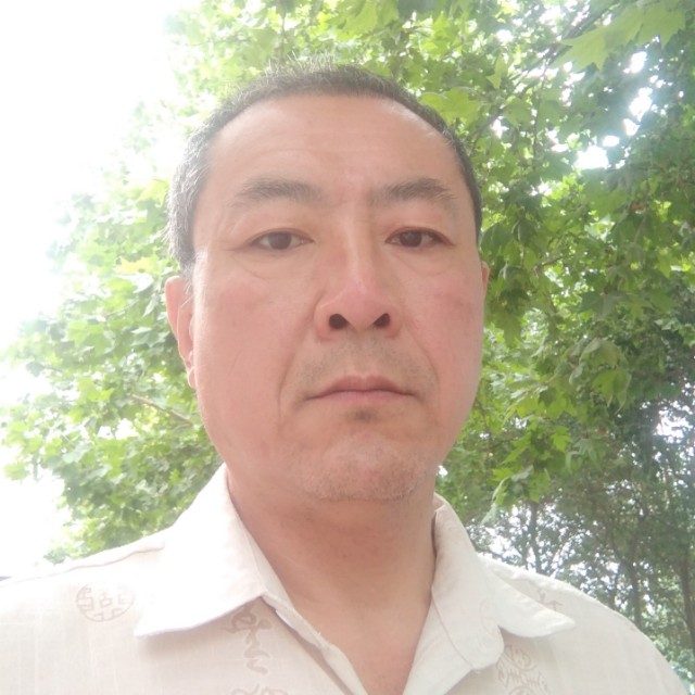 纯情浅吻黄蜂的照片