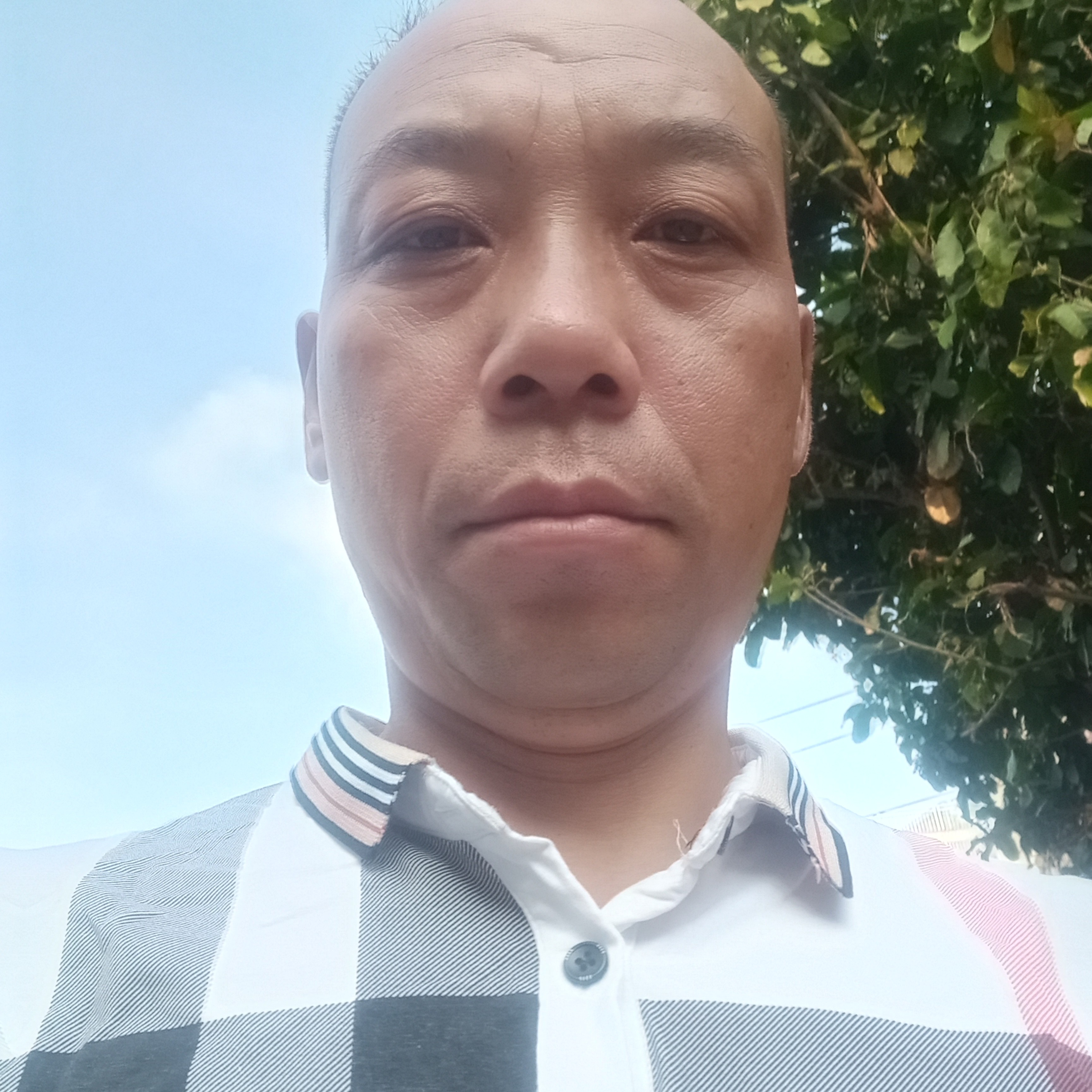 零碎多么信封的照片