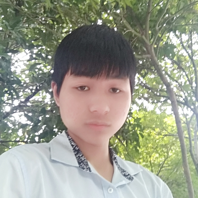 迷人小熊猫的照片