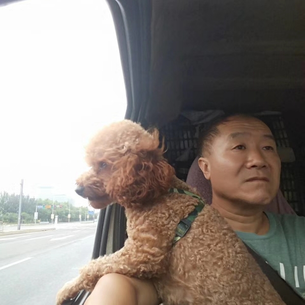 猎豹扯健壮的照片