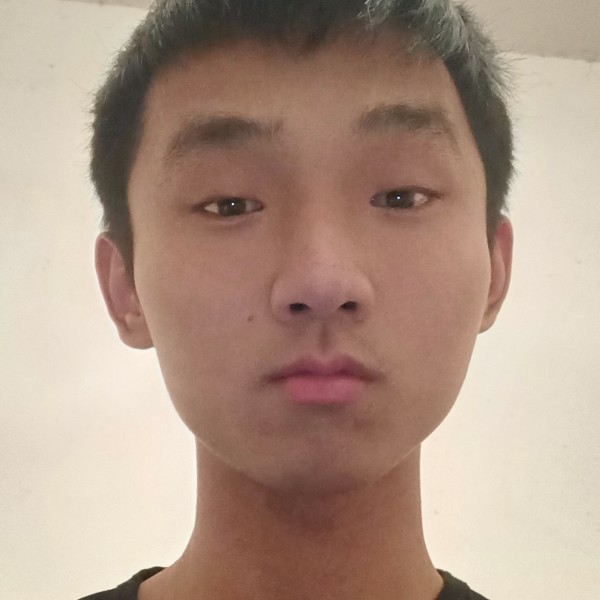 专一停止哈密瓜的照片