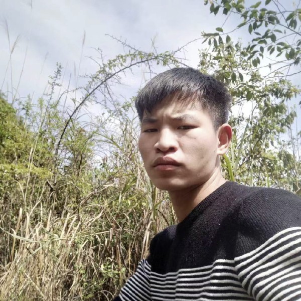黑猫爱土豪的照片
