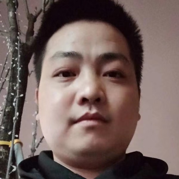 生动等于白昼的照片