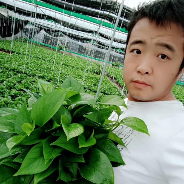 杰少520的照片