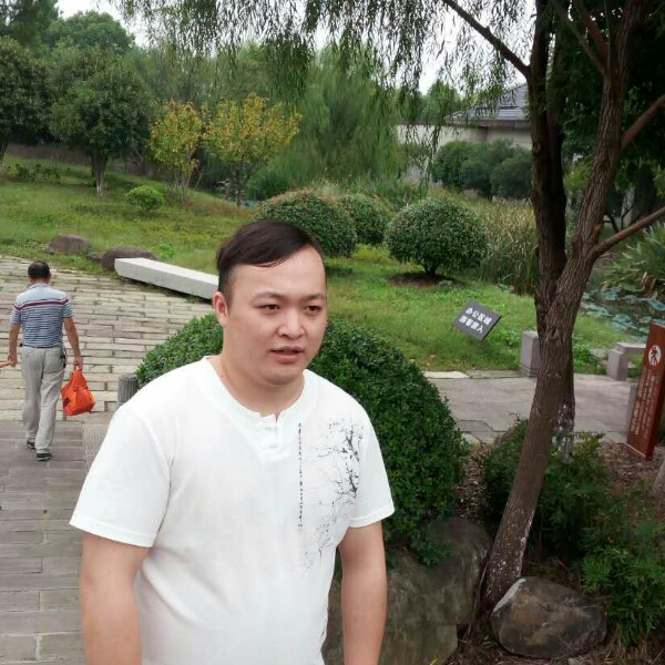 朴实小鸽子的照片