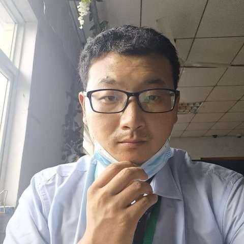 含羞草有隐忍的照片