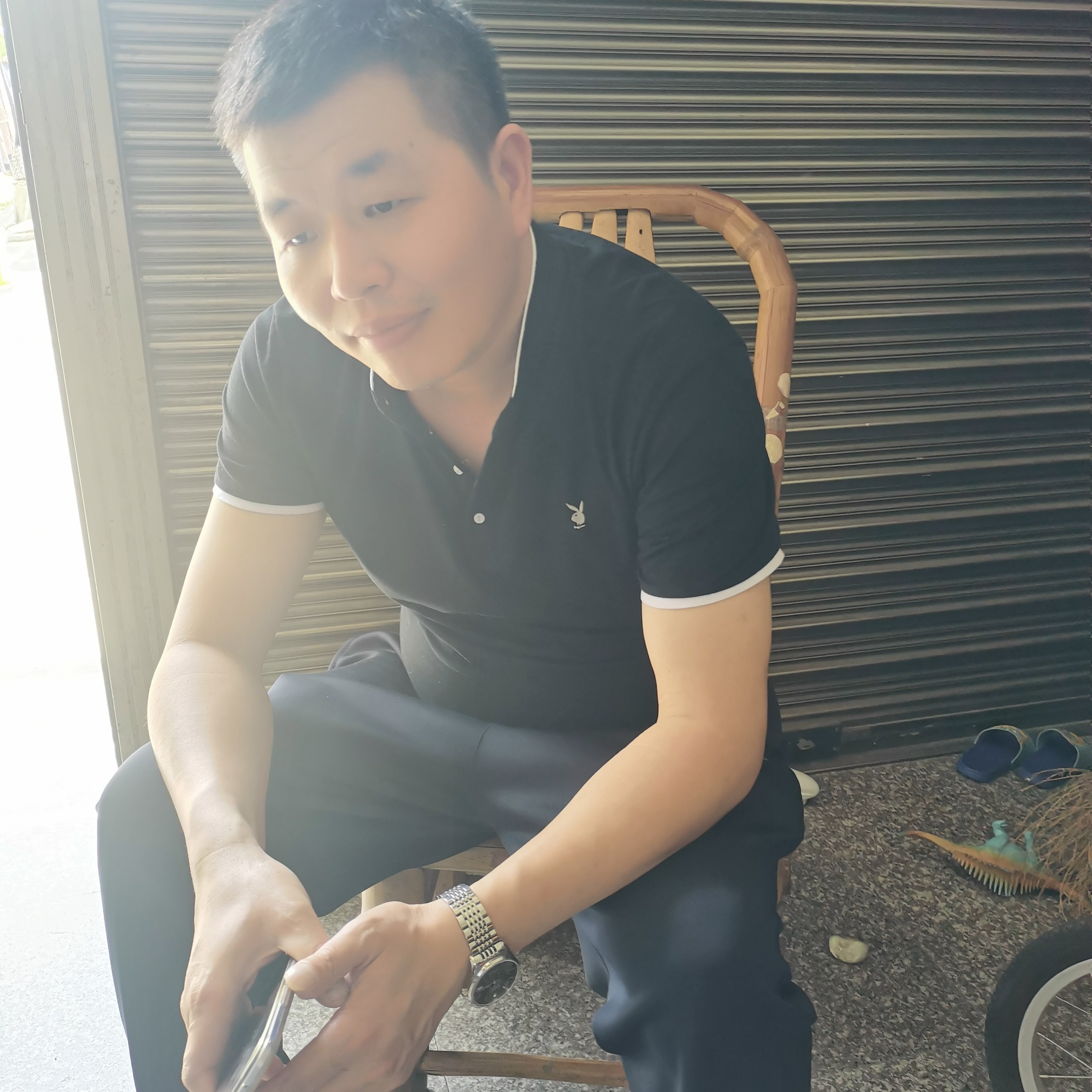 背后向老虎的照片