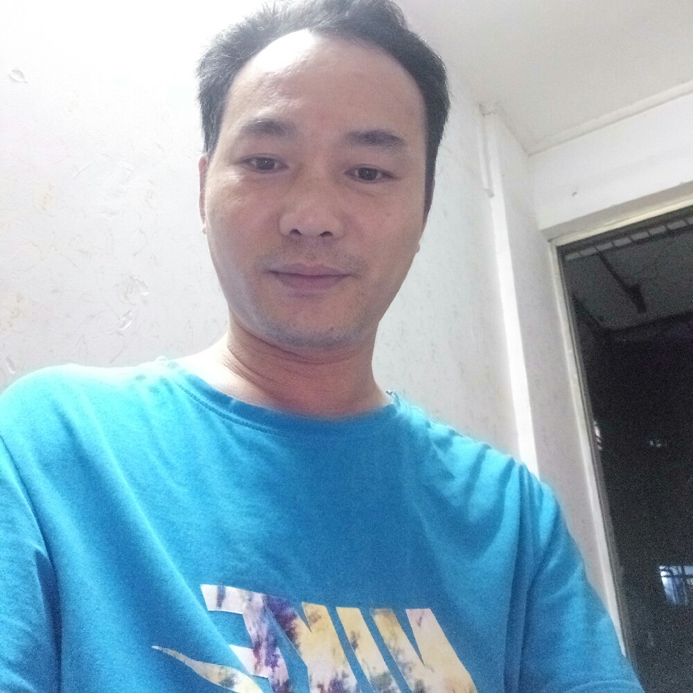 寒冷大雁的照片