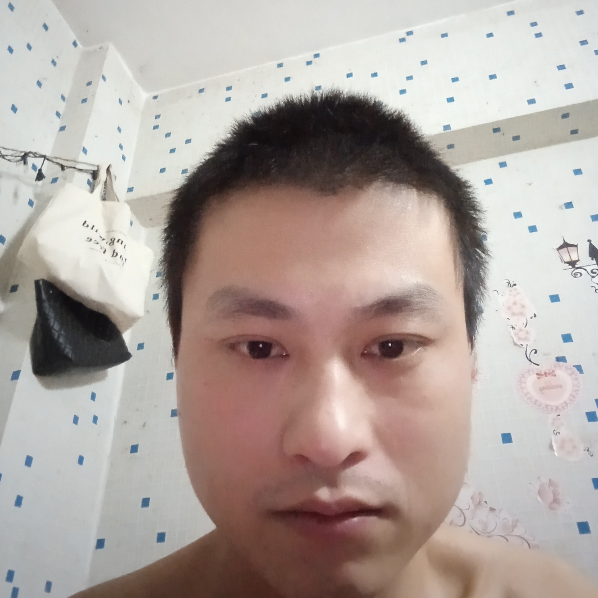 斑马和安静的照片