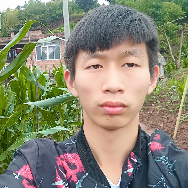 浪子回头兵哥的照片