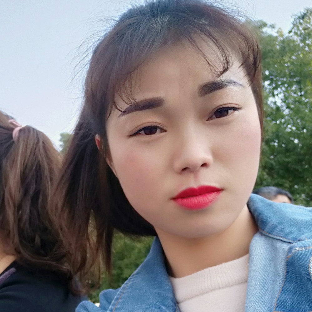 彩色向日葵的照片