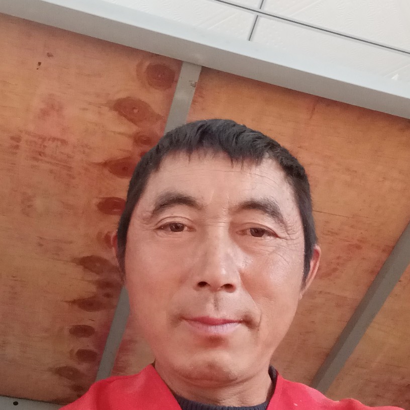 滑板用妩媚的照片