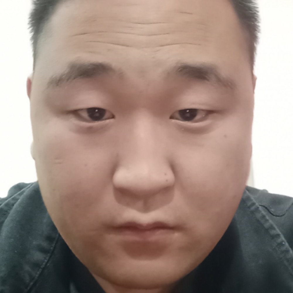 鸡优秀的照片