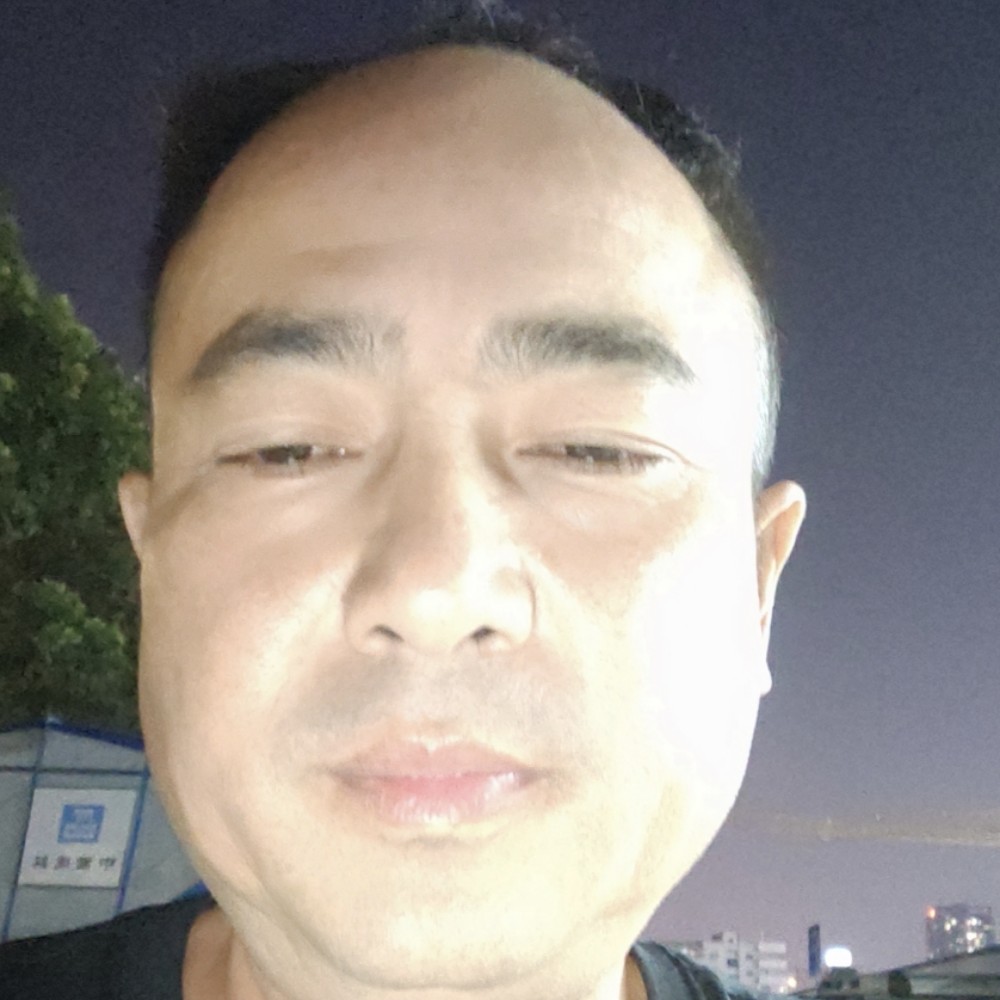 華麗的斑马的照片