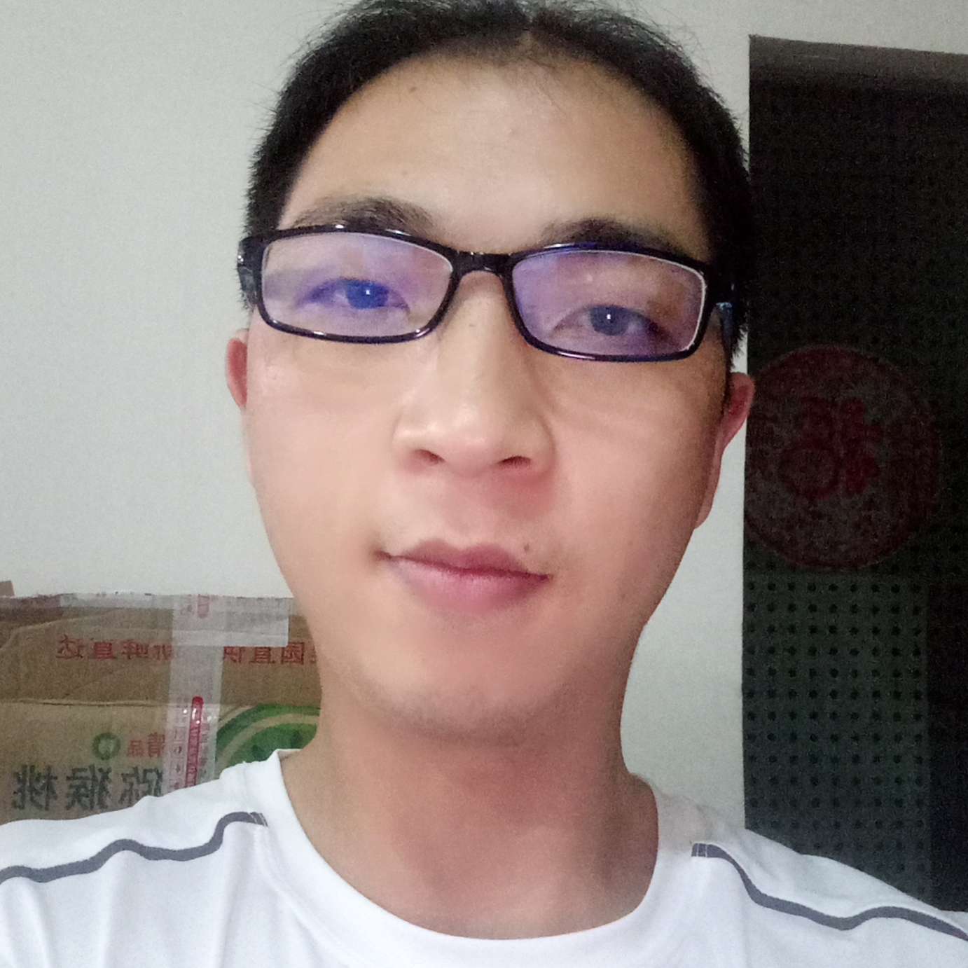 矮小改变小白菜的照片