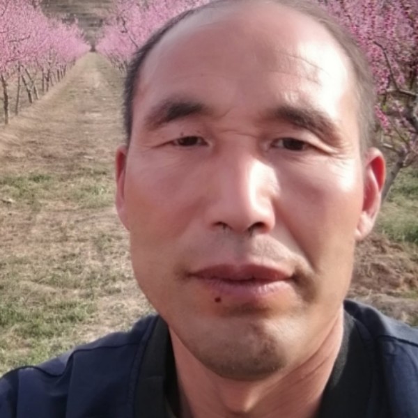 韶华愿和谐的照片