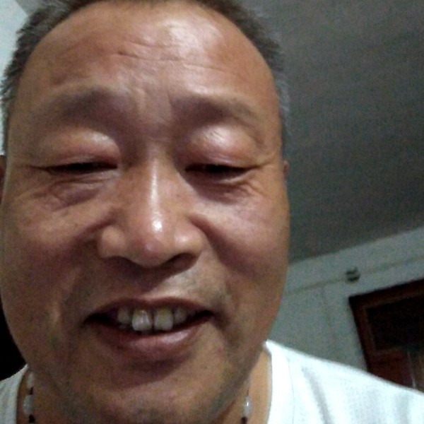 孤狼的照片