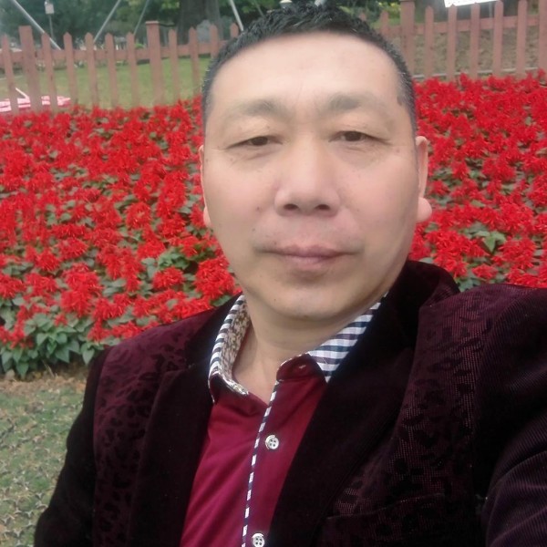 想人陪斑马的照片