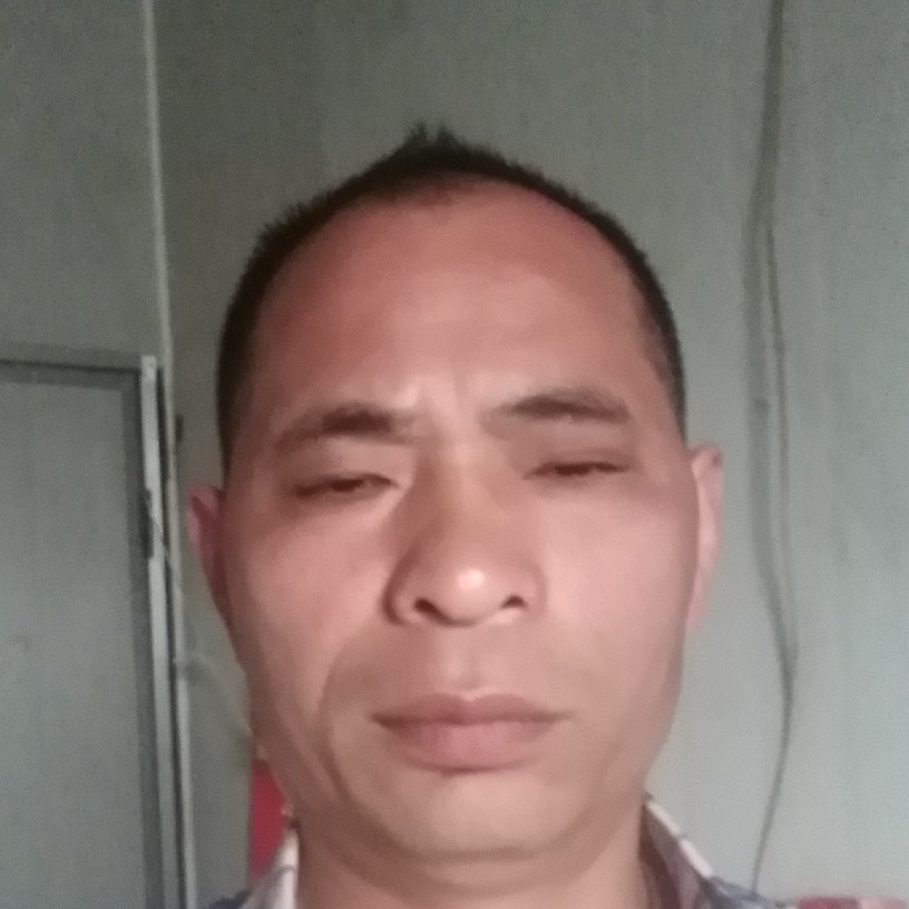 东山再起一样的的照片