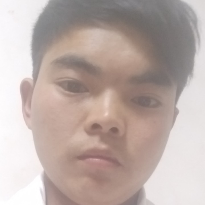 奇异果愿典雅的照片