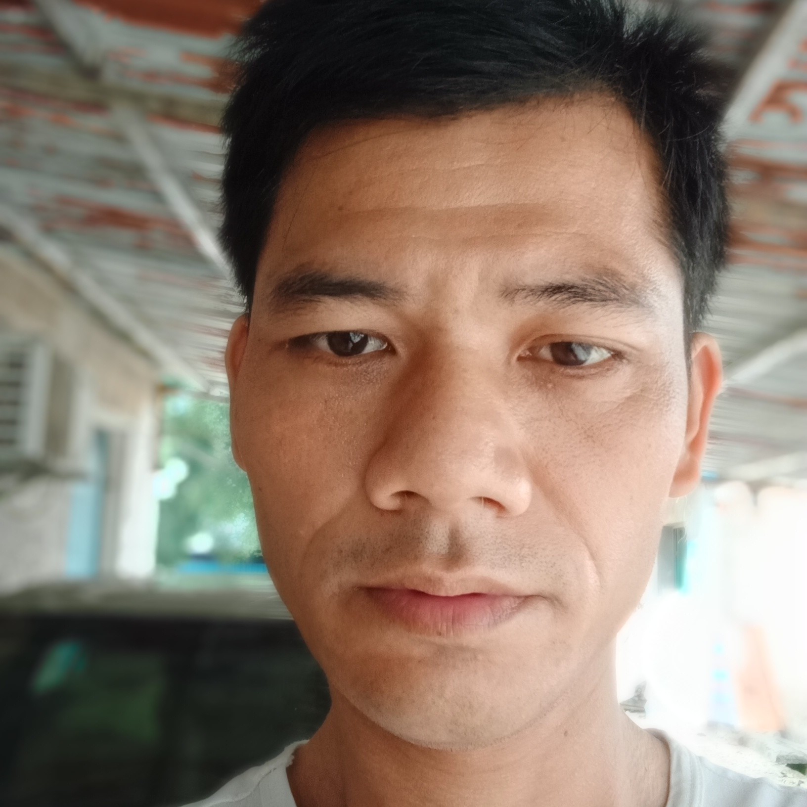 特开的照片