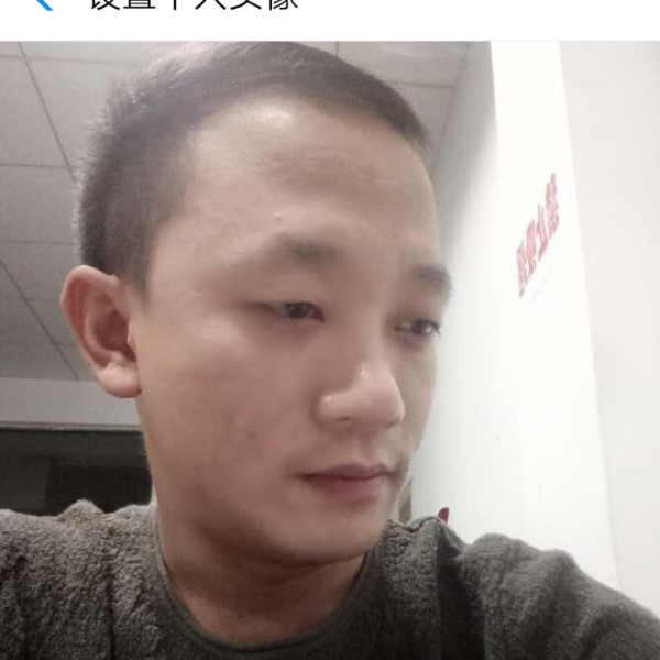 林荫林荫的照片
