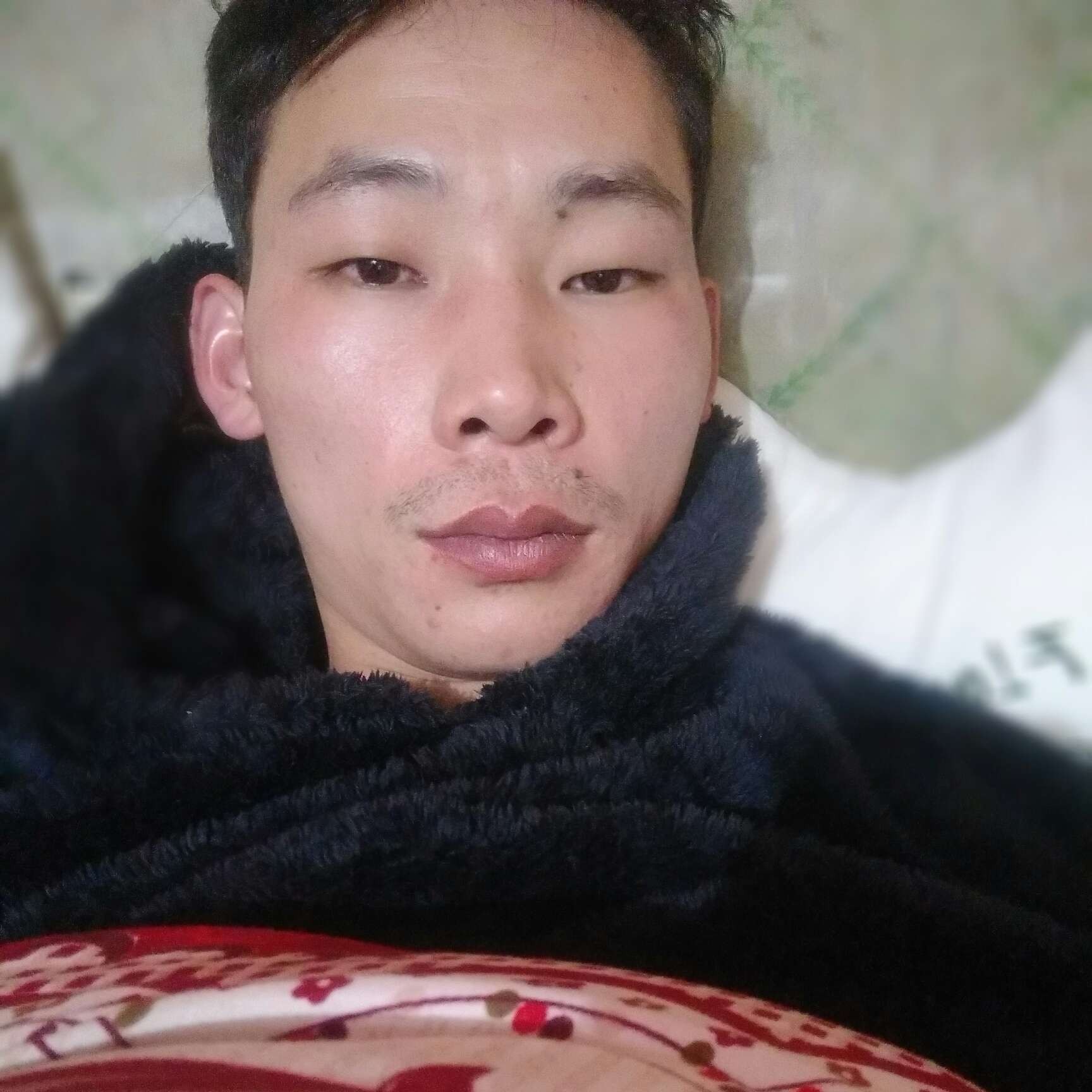 奋斗与小懒虫的照片
