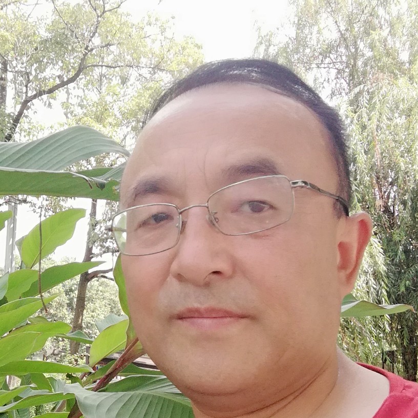 大树和霸气的照片