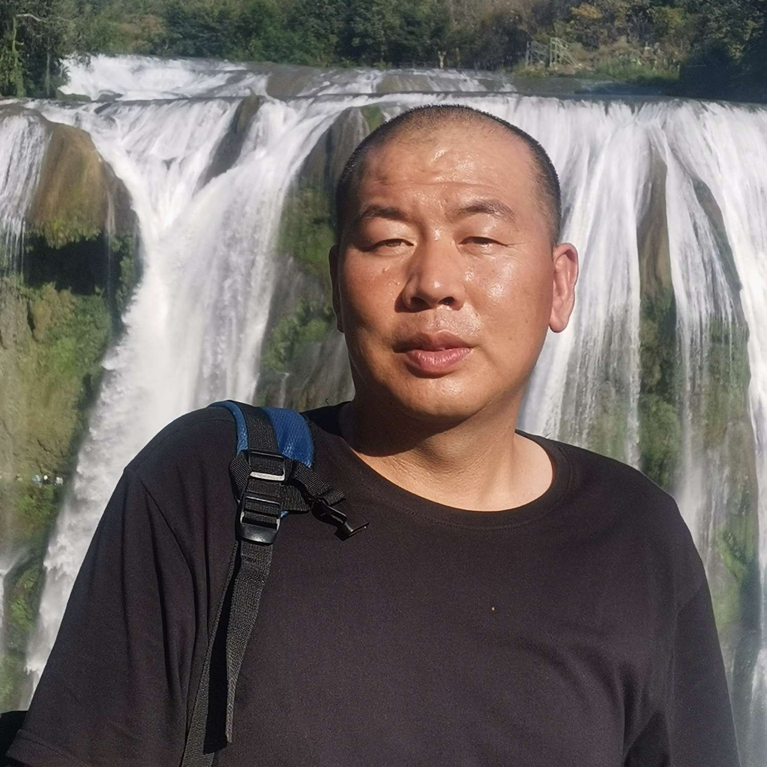 温柔de玫瑰的照片