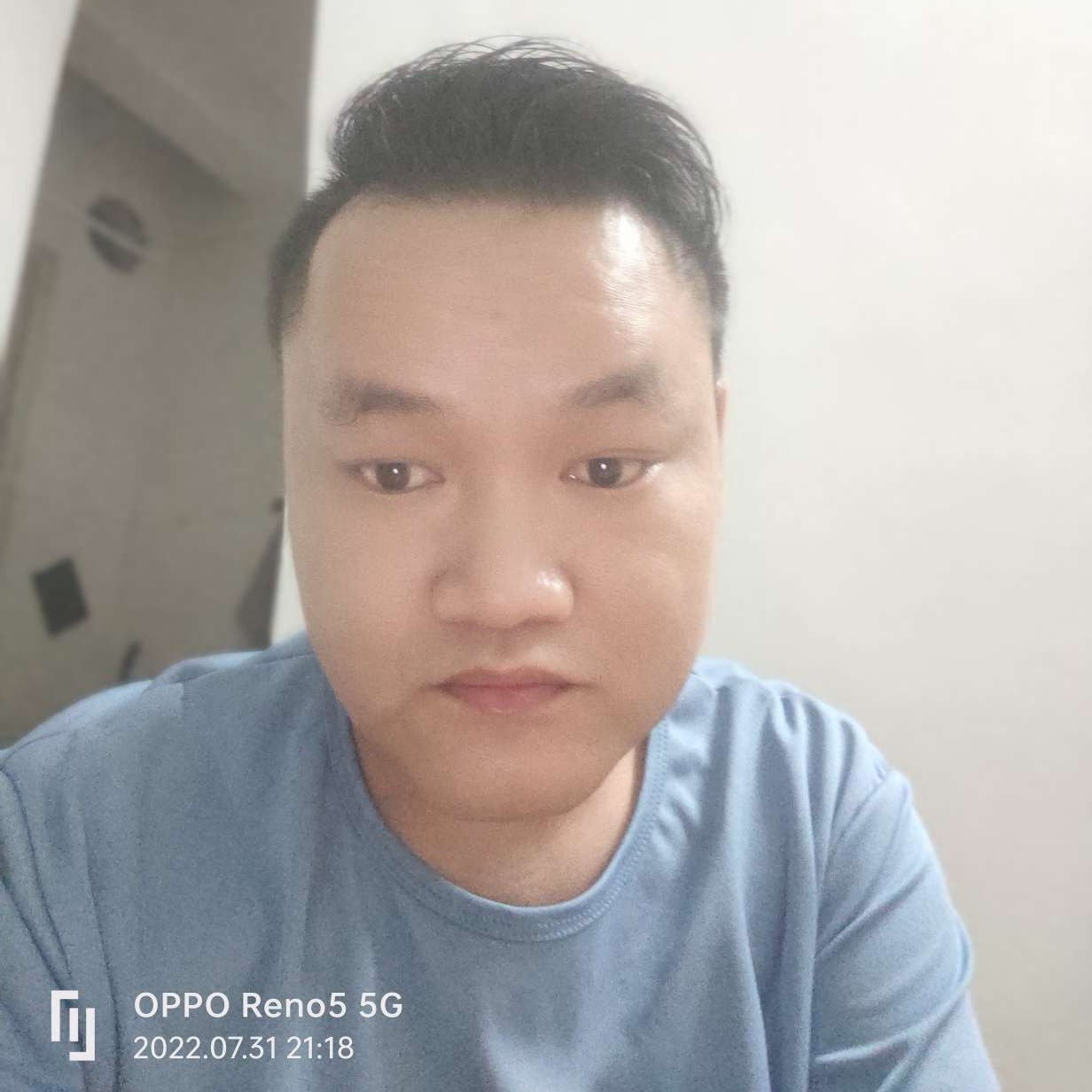 小鸭子請勤奋的照片