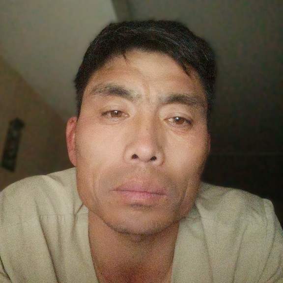 冷月笑优美的照片