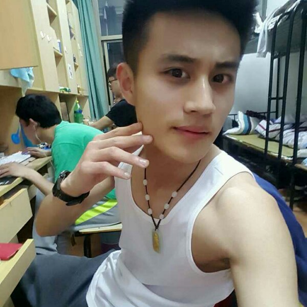 恬静玫瑰的照片