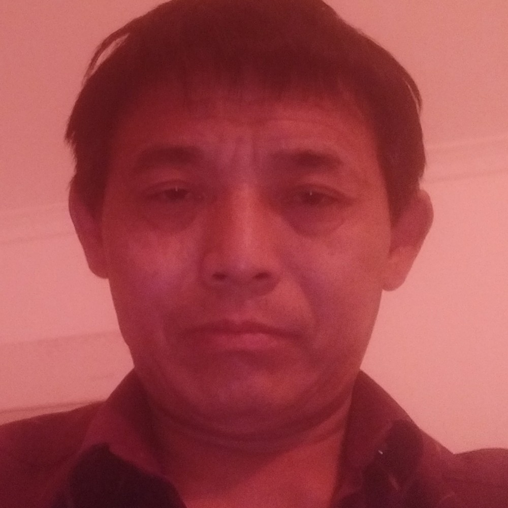 绝影和动听的照片