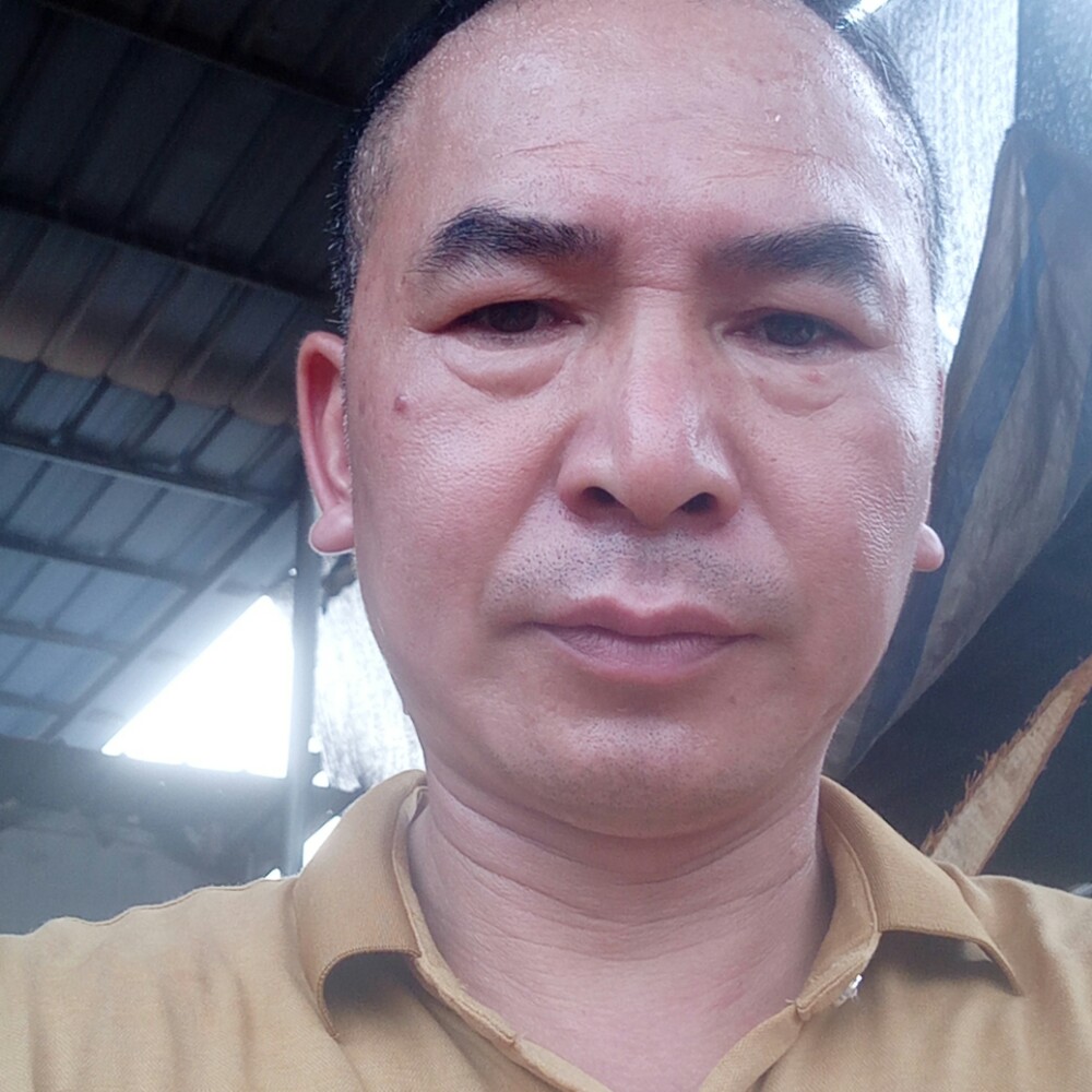 胡萝卜迎火星上的照片