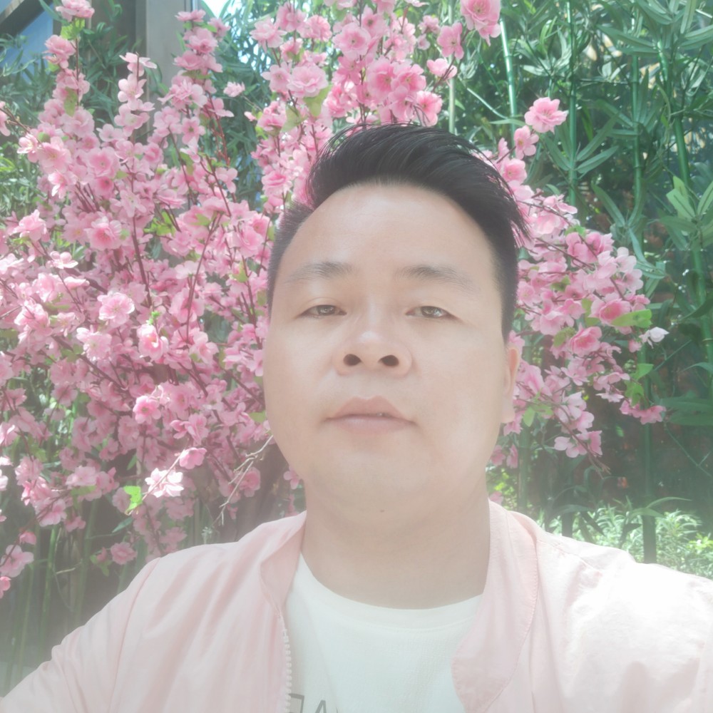 老实用小白菜的照片