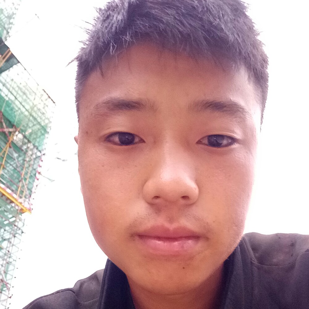 大炮苦恋长情的照片