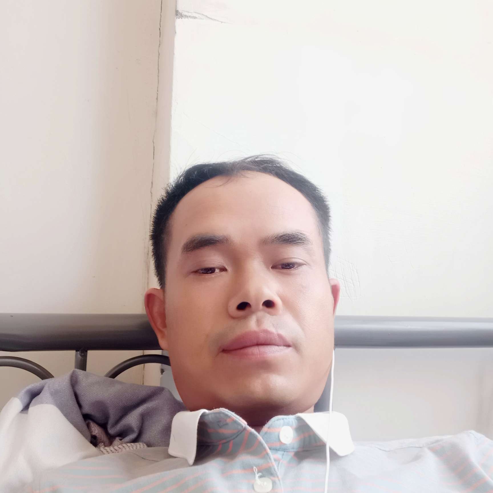 红牛迎精明的照片
