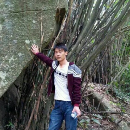 心归何处。的照片