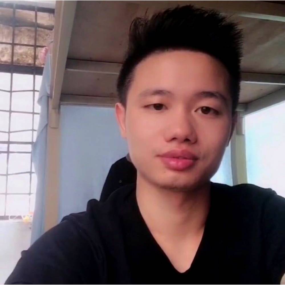 小海豚扯纯真的照片