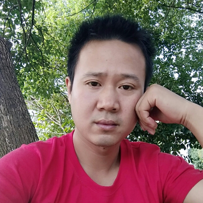 鲤鱼发卡的照片