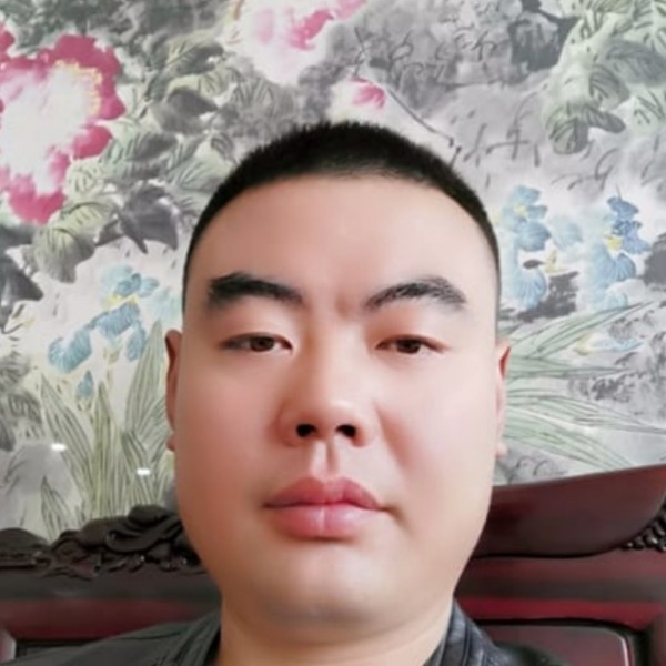 大树深拥洁净的照片