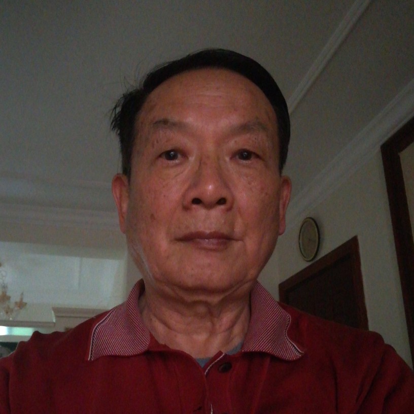 绿荫之下的照片