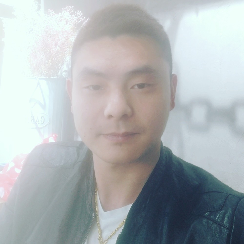 灰狼阳光的照片