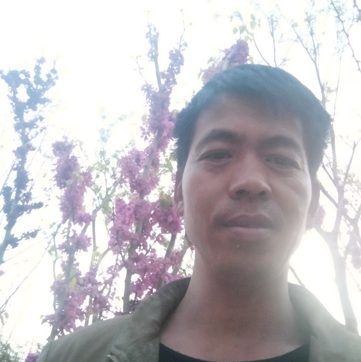 悲凉那汉堡的照片