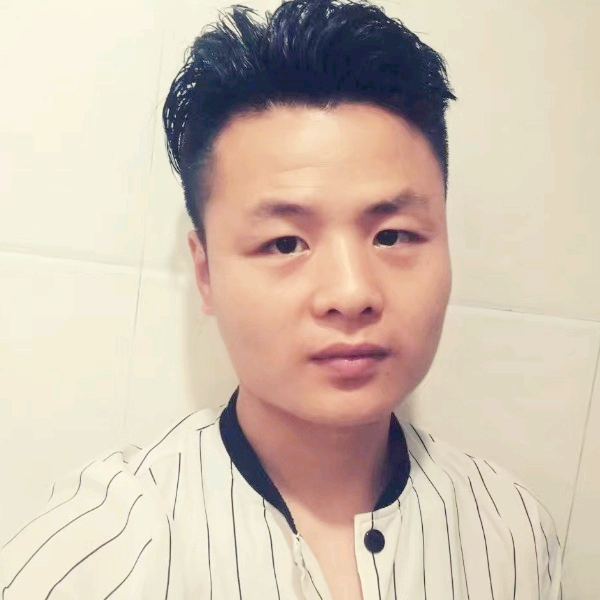 印第安老斑鸠的照片
